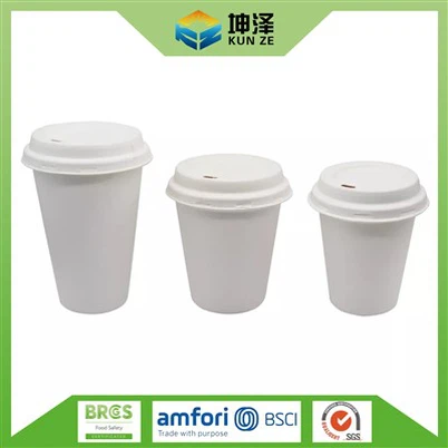 Bagasse Kas fes khob