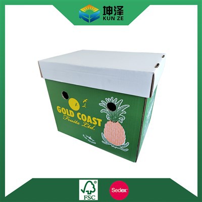 Pineapple Storage Box