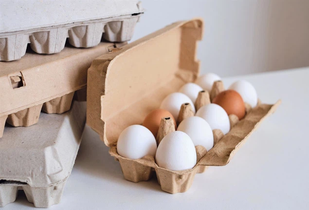 Recyclable Pulp Egg Cartons Recyclable Pulp Egg Cartons