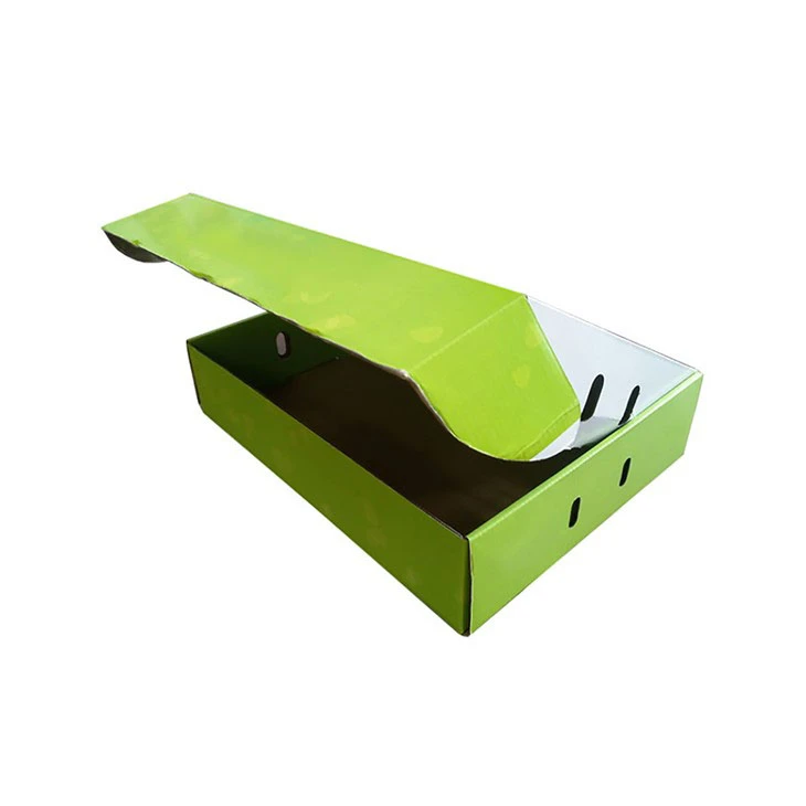 Scallion Packaging Box