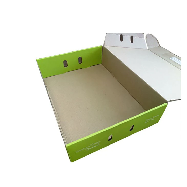 Scallion Packaging Box