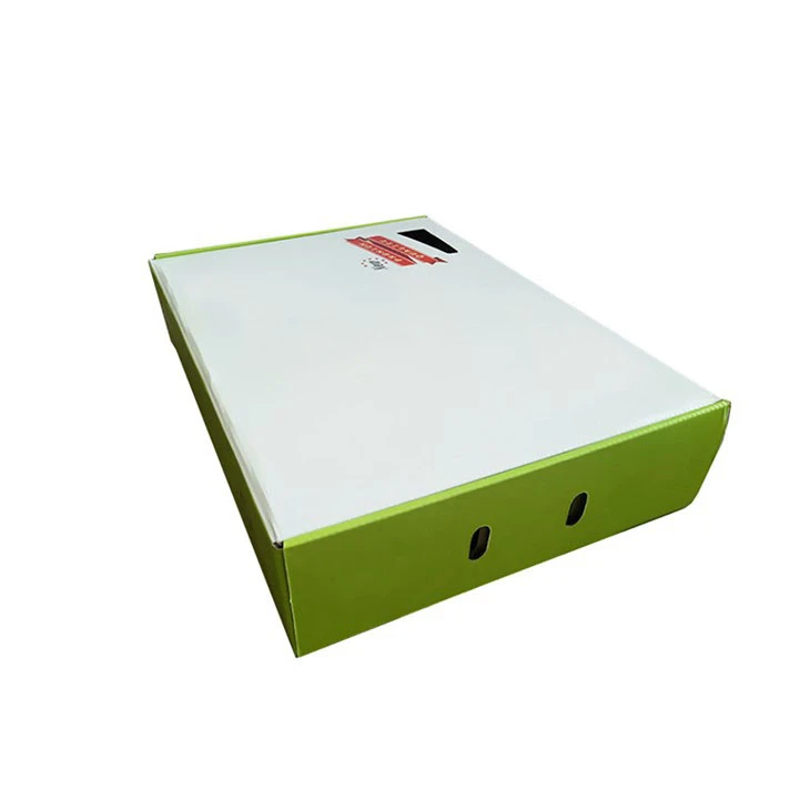 Scallion Packaging Box