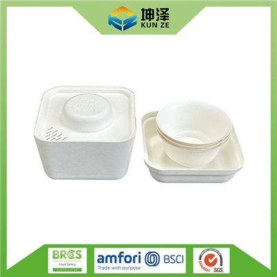 Sugarcane Disposable Tea Set