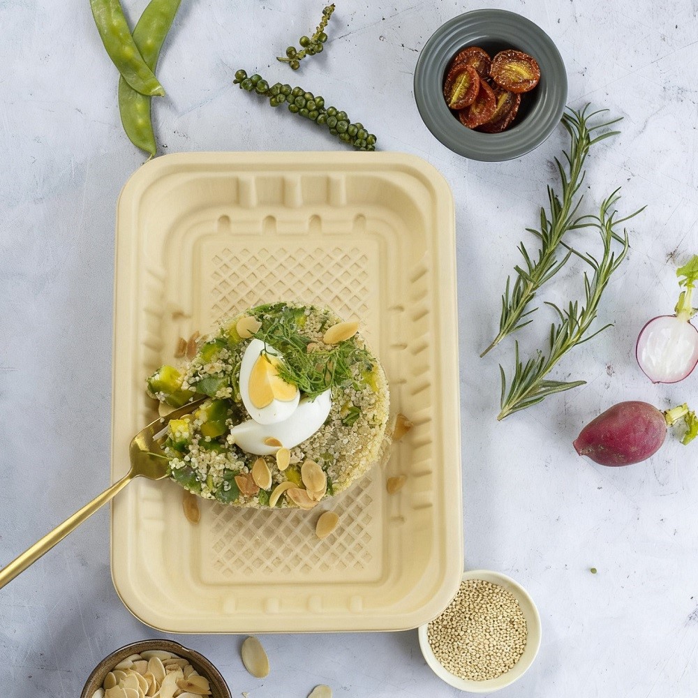 bamboo fiber food tray bamboo fiber food tray